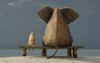 elephant
