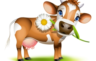 jersey-cow-dais1y