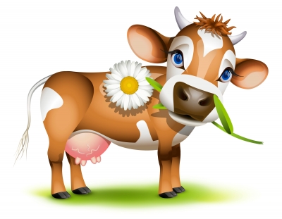 jersey-cow-dais1y