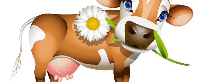 jersey-cow-dais1y
